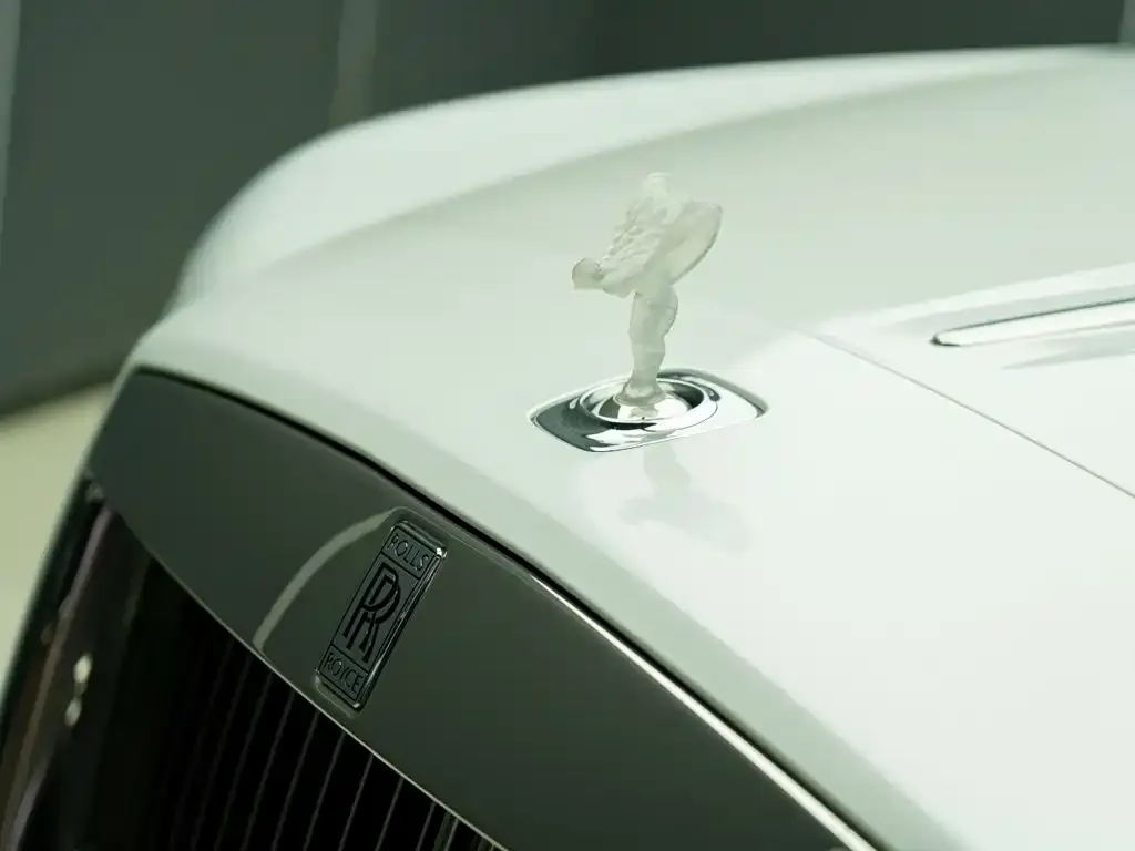 Rolls-Royce Dawn — фото 9