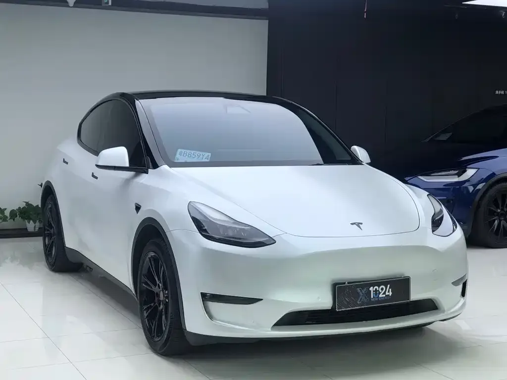 Tesla Model Y — фото 2