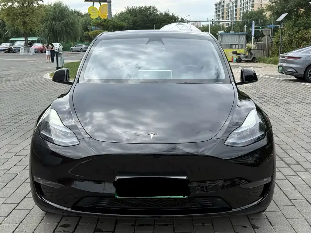 Tesla Model Y — фото 2