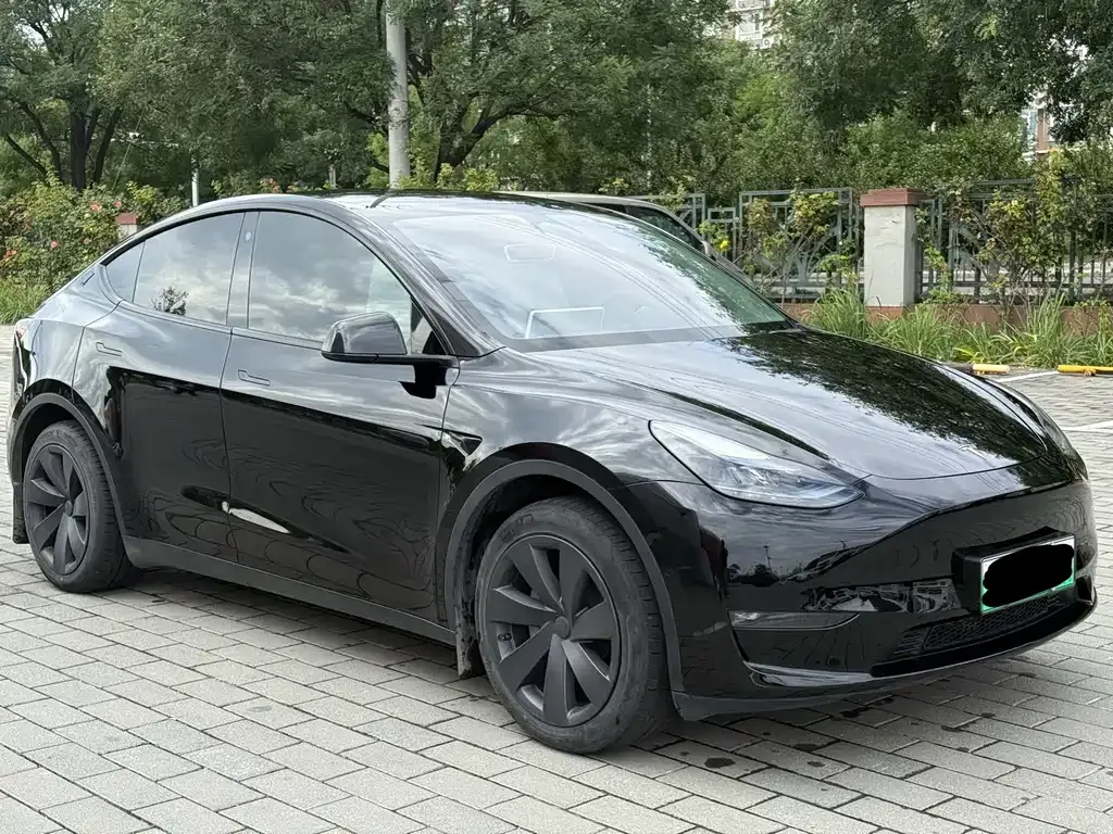 Tesla Model Y — фото 5