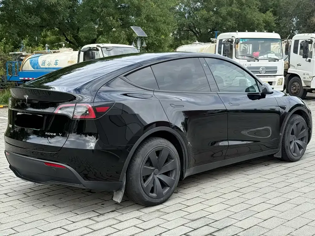 Tesla Model Y — фото 10