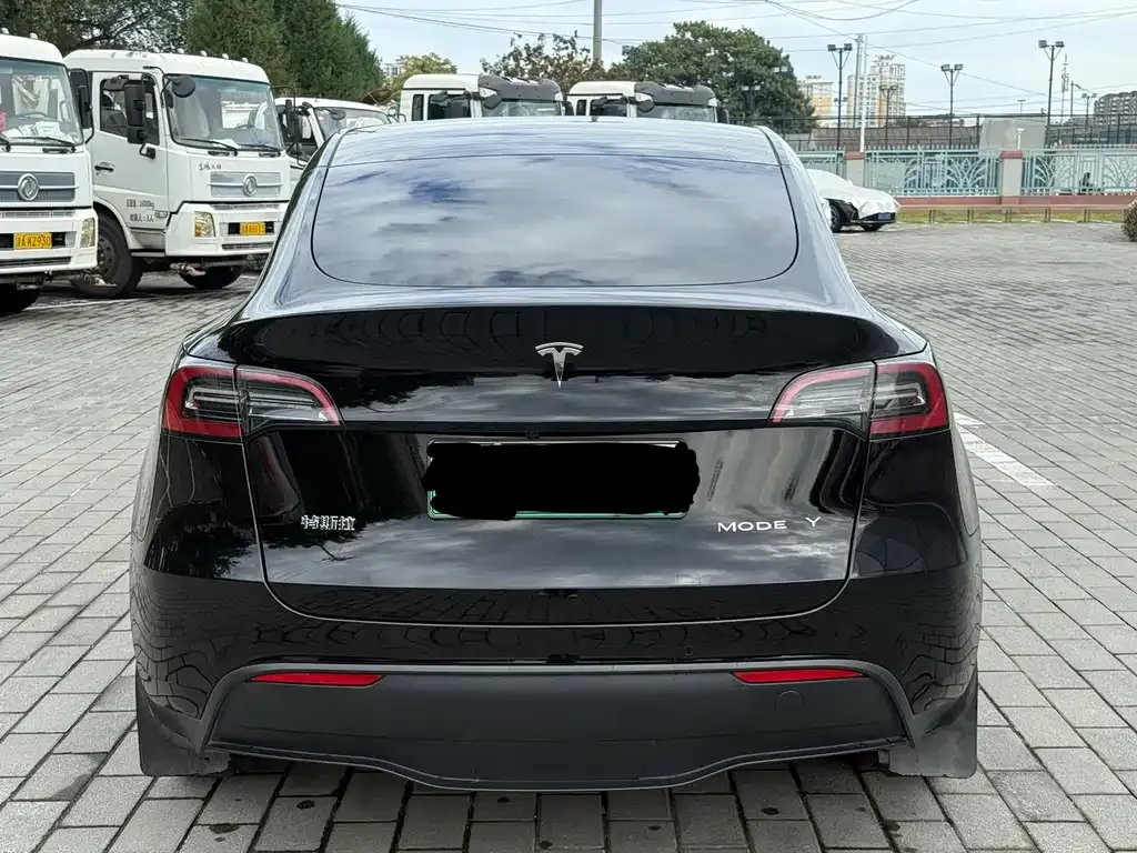Tesla Model Y — фото 6