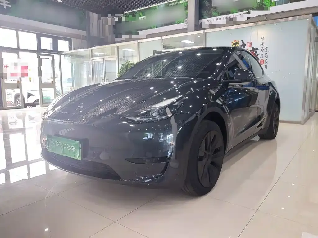 Tesla Model Y — фото 1