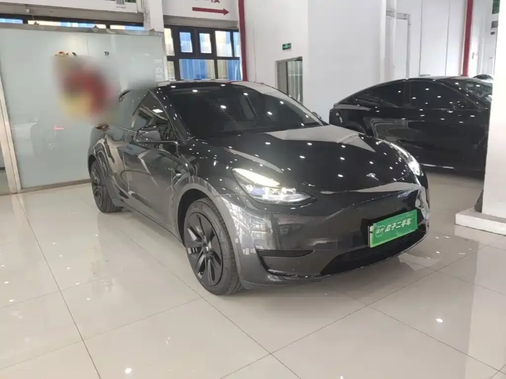 Tesla Model Y — фото 2