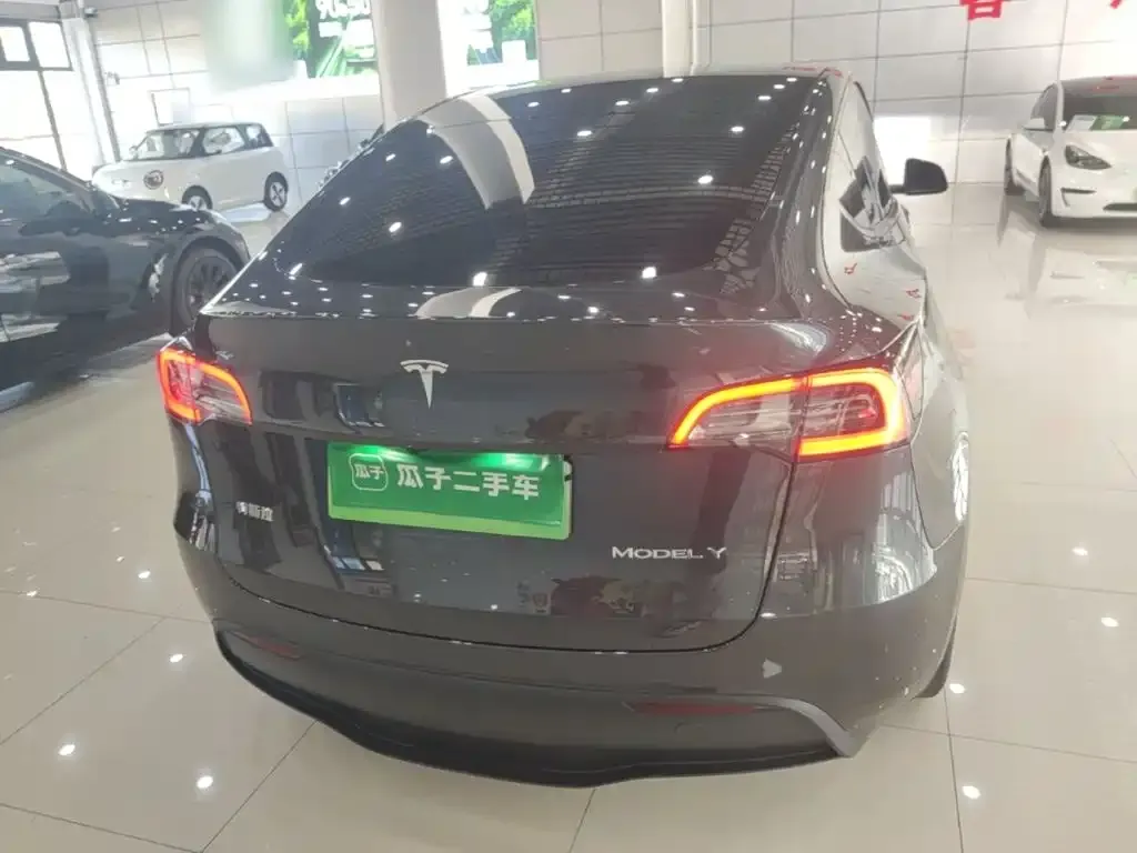 Tesla Model Y — фото 3