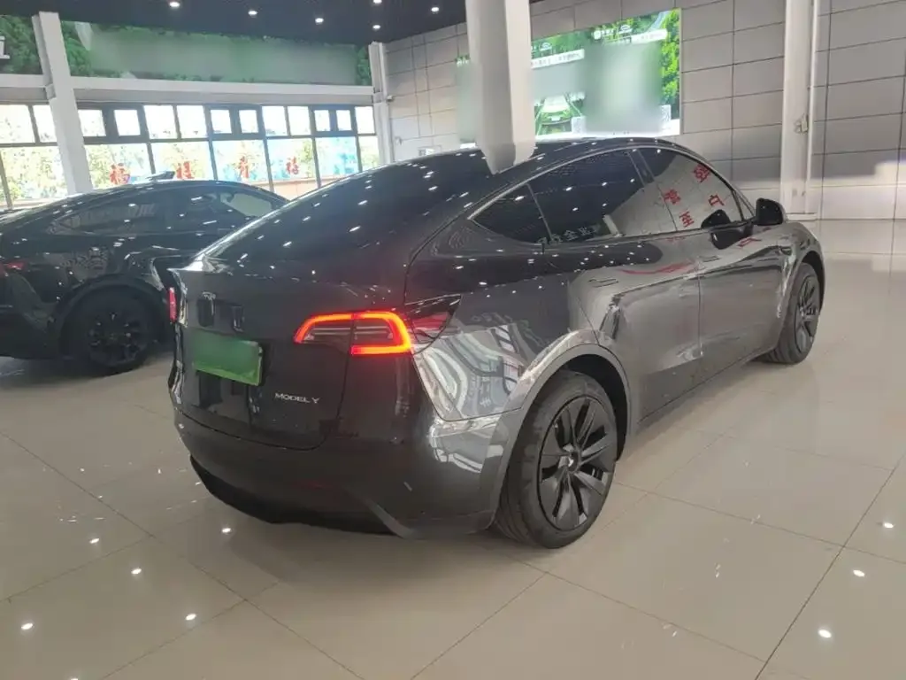 Tesla Model Y — фото 8