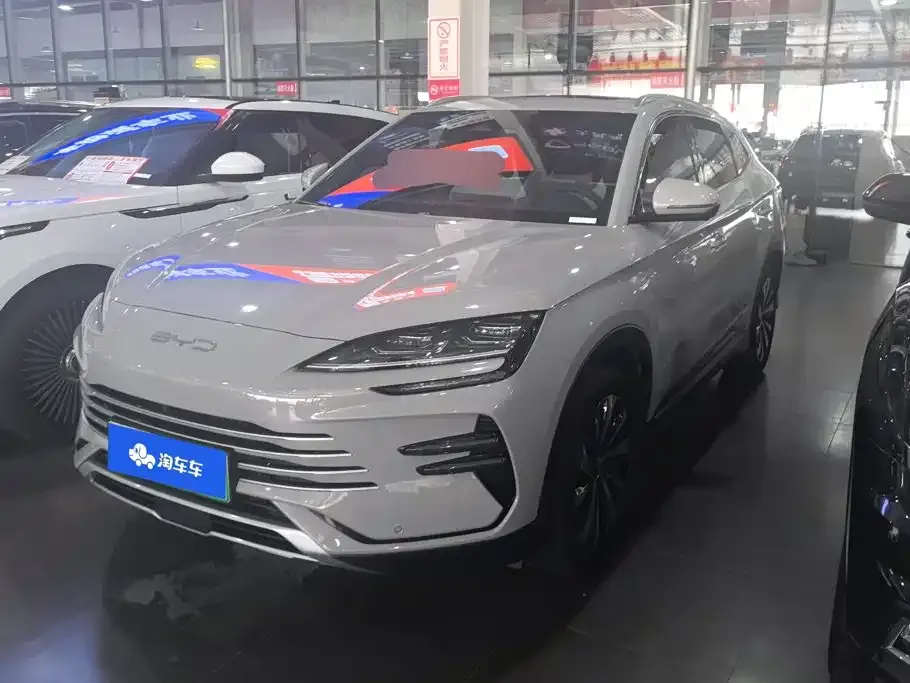 BYD PLUS New Energy — фото 1