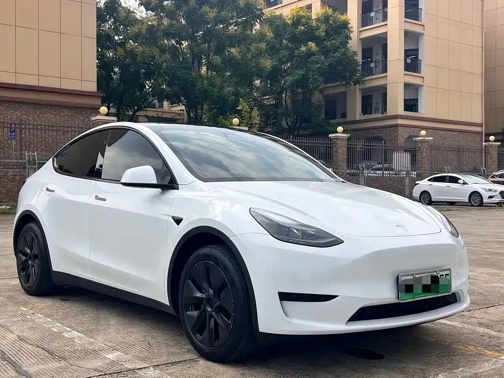 Tesla Model Y — фото 10