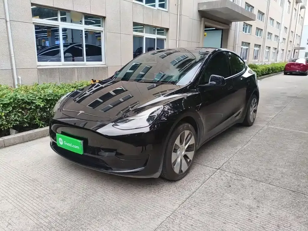 Tesla Model Y — фото 6