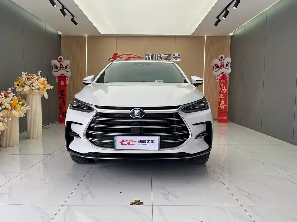 BYD Tang New Energy — фото 3