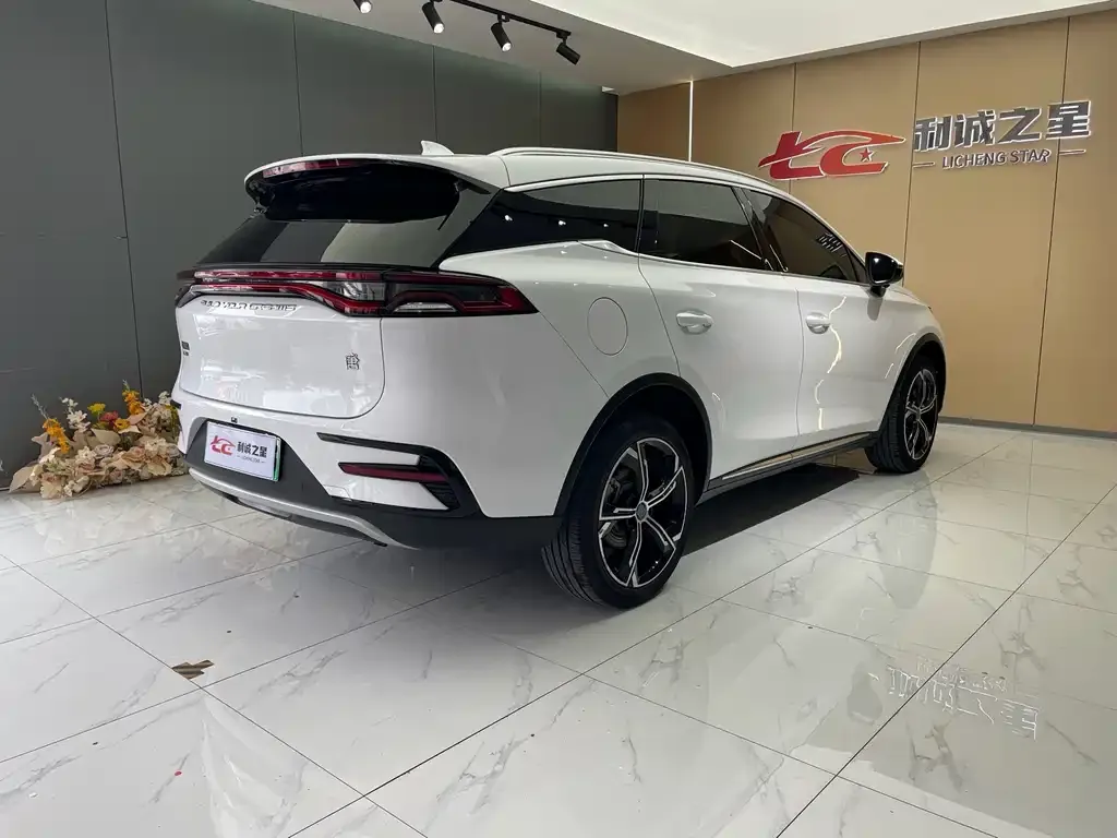 BYD Tang New Energy — фото 10
