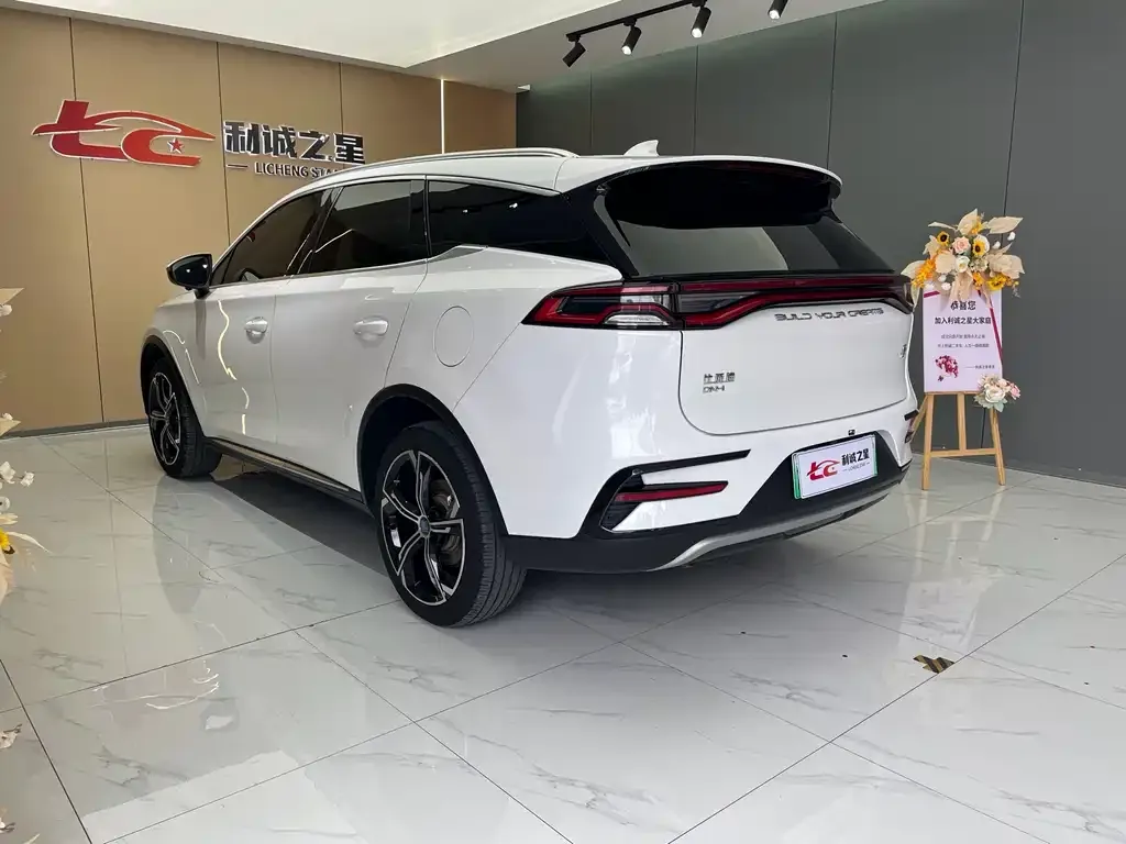 BYD Tang New Energy — фото 8