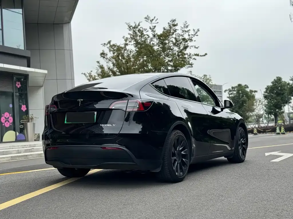 Tesla Model Y — фото 9