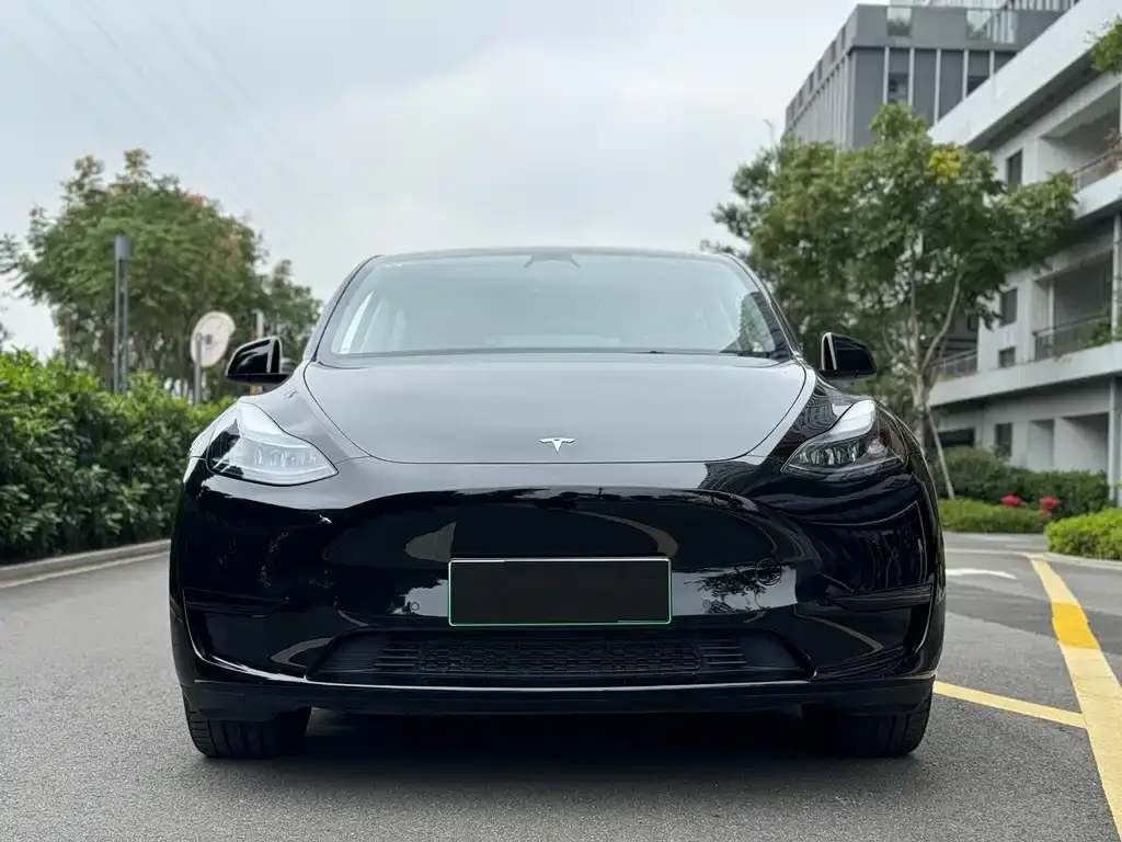 Tesla Model Y — фото 5