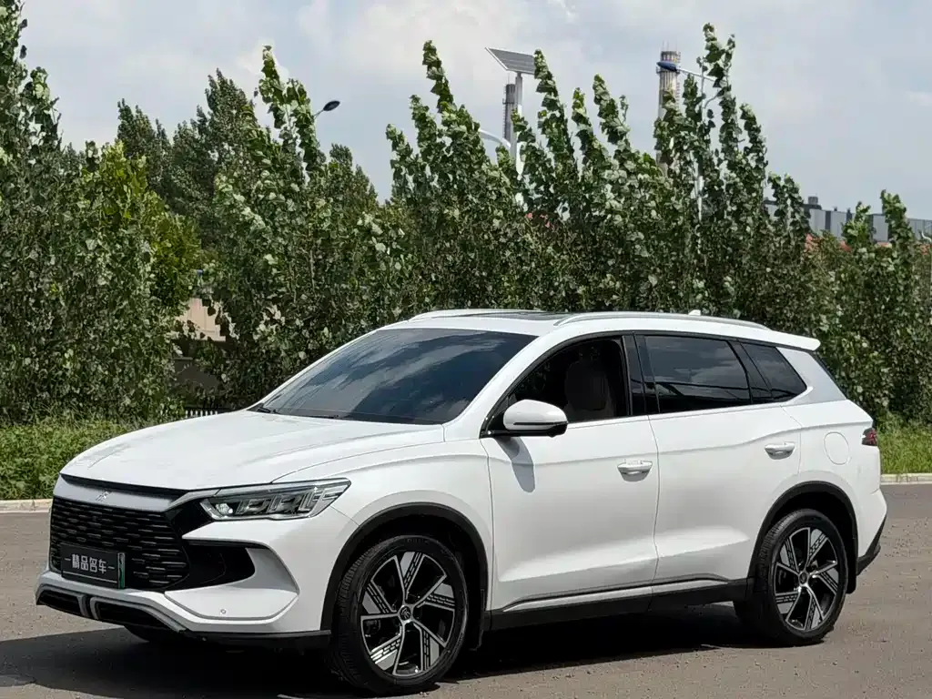BYD Pro New Energy — фото 1