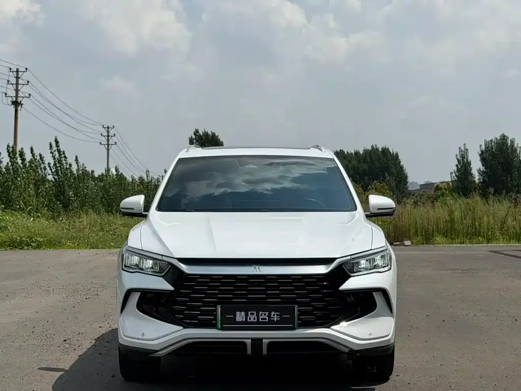 BYD Pro New Energy — фото 7