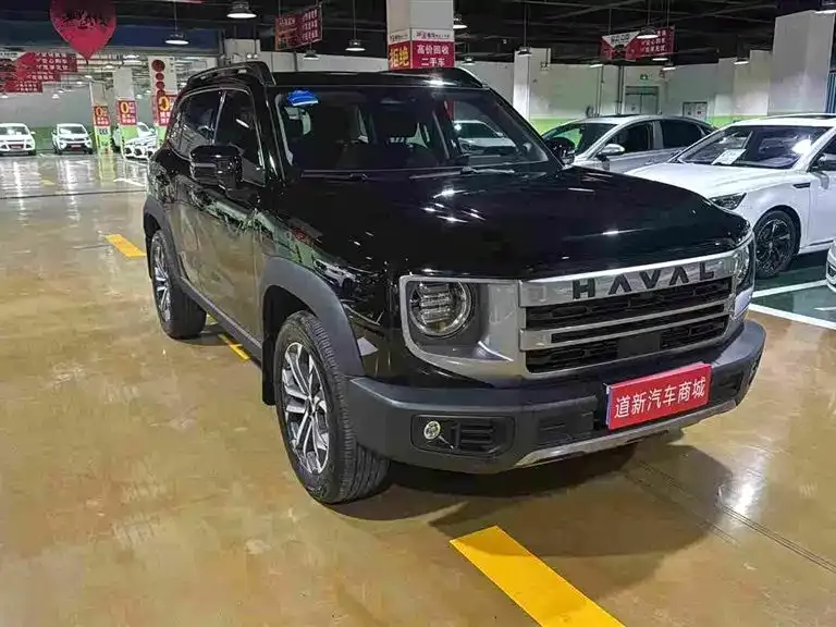 Haval Big Dog — фото 4