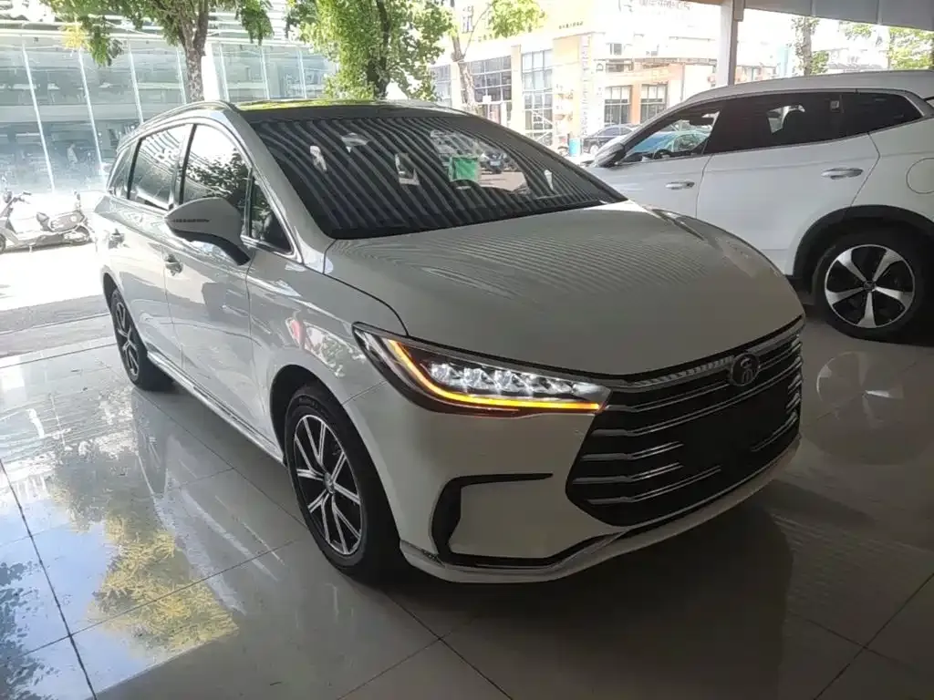 BYD MAX New Energy — фото 3