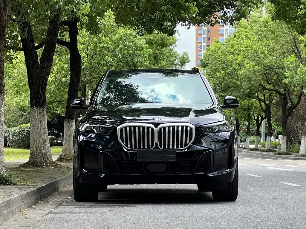 BMW X5 — фото 10