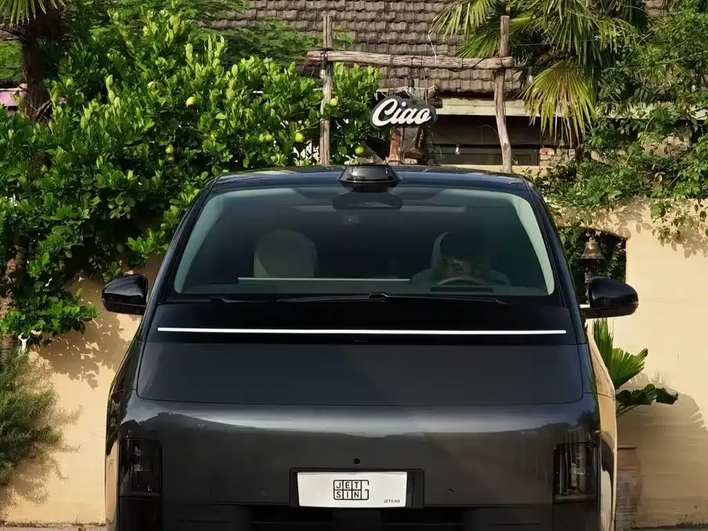 Li Auto MEGA — фото 1