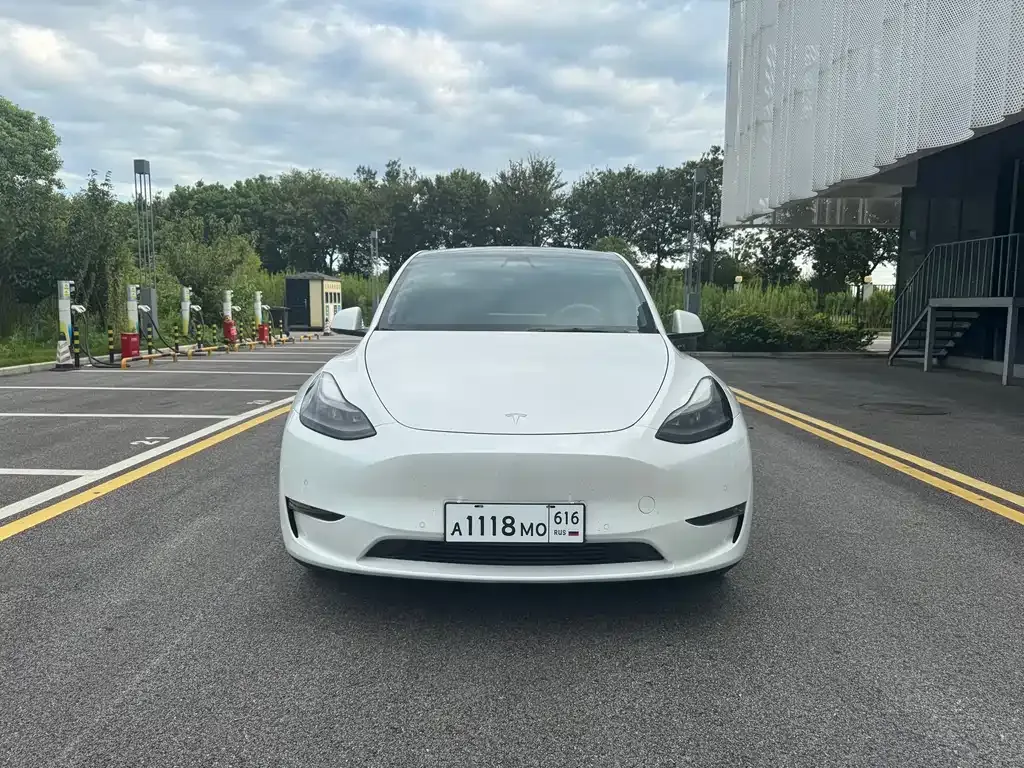 Tesla Model Y — фото 1