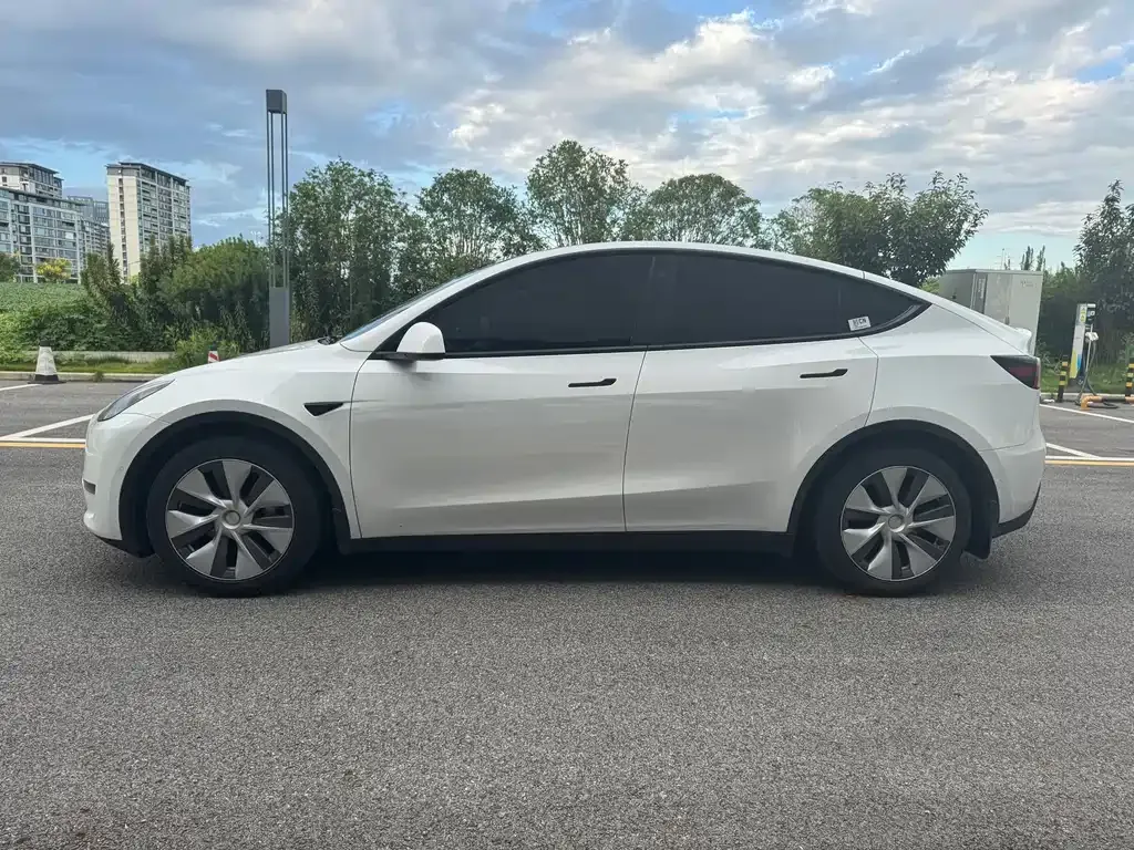 Tesla Model Y — фото 7