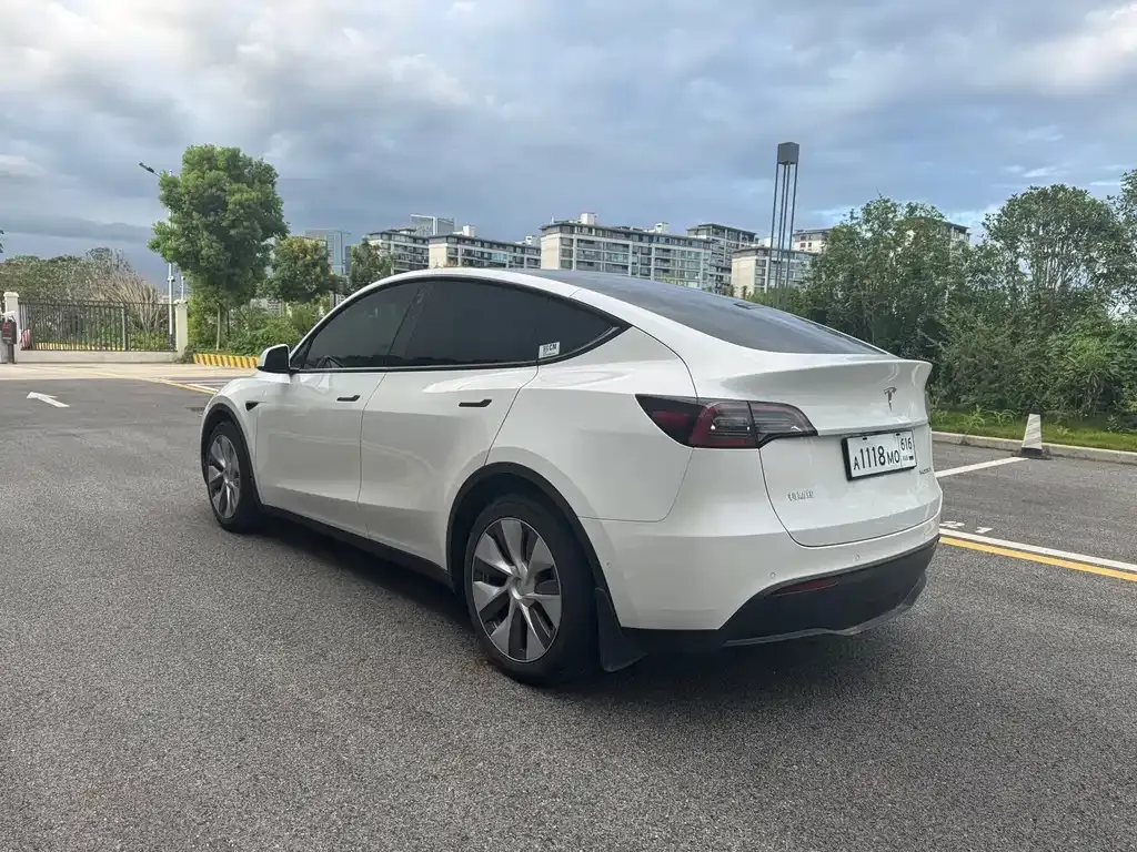 Tesla Model Y — фото 10