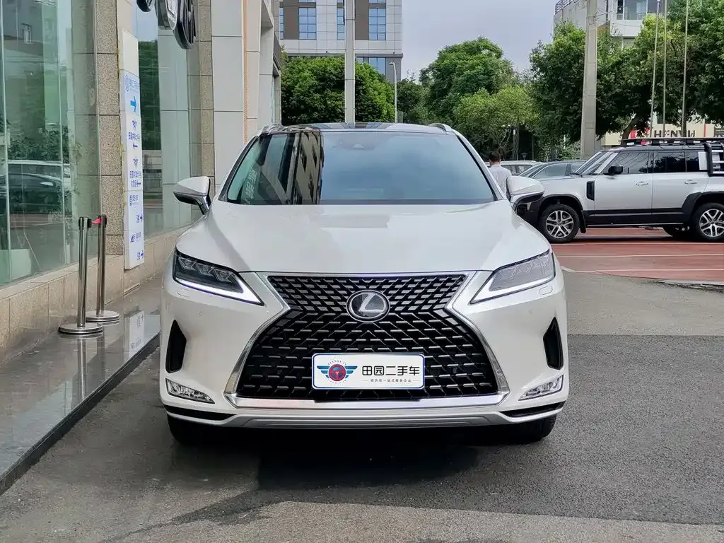 Lexus RX — фото 10