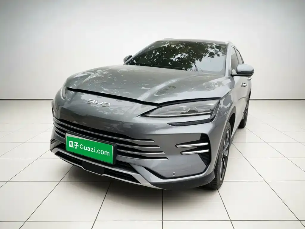 BYD PLUS New Energy — фото 1