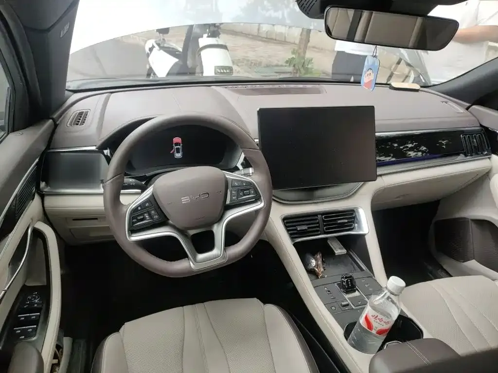 BYD PLUS New Energy — фото 10