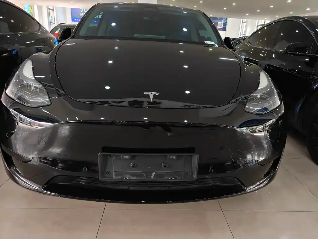 Tesla Model Y — фото 1
