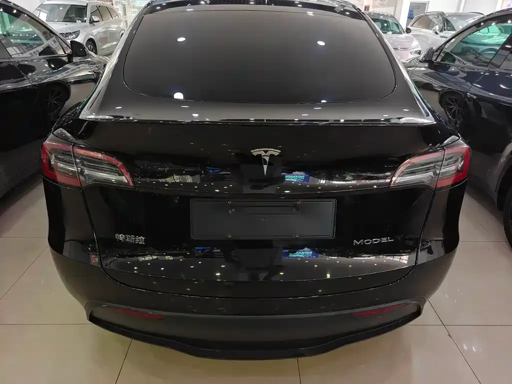 Tesla Model Y — фото 9