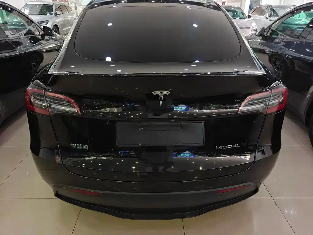 Tesla Model Y — фото 10