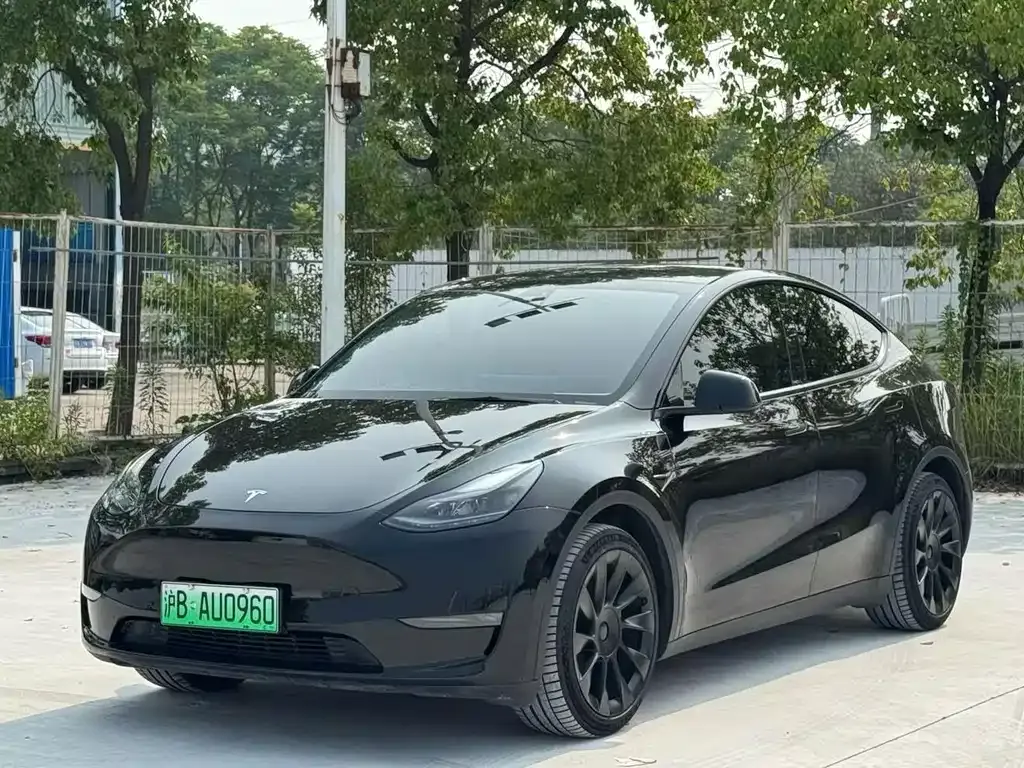 Tesla Model Y — фото 1