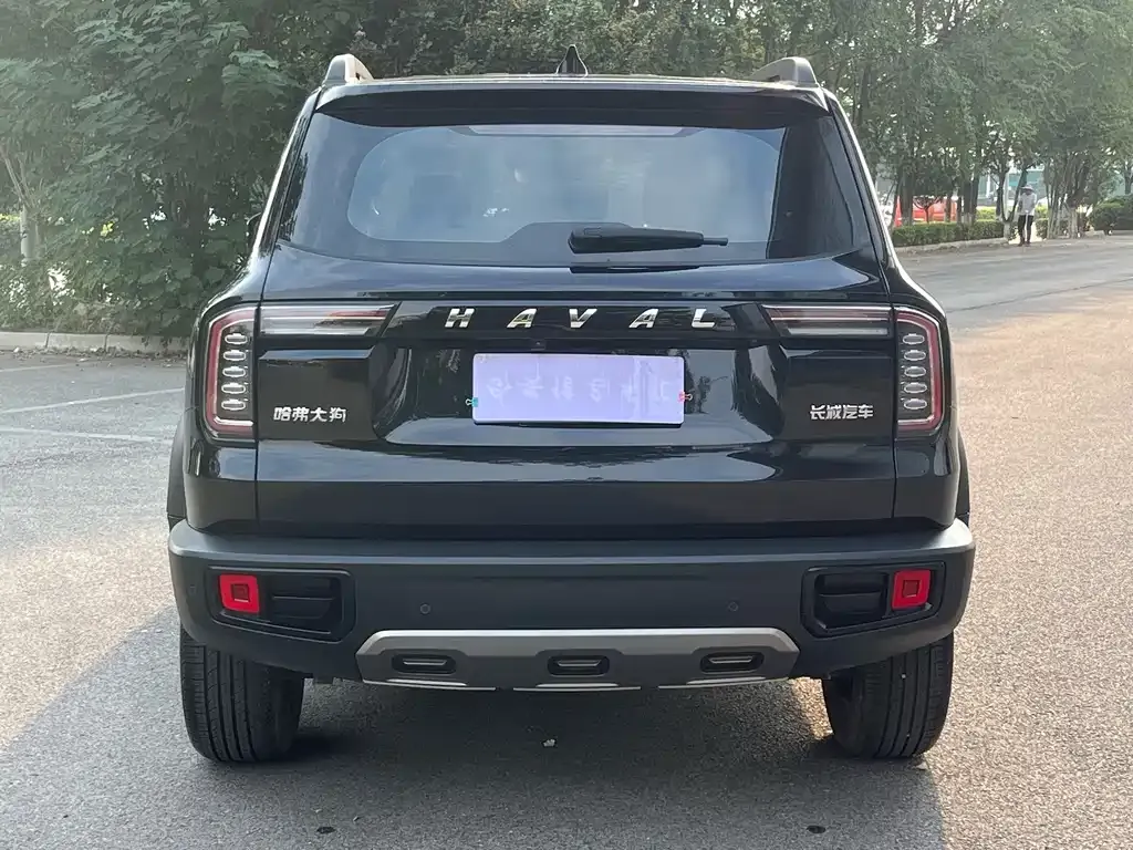 Haval Big Dog — фото 8