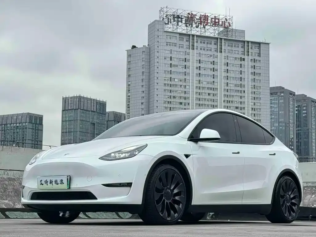 Tesla Model Y — фото 1