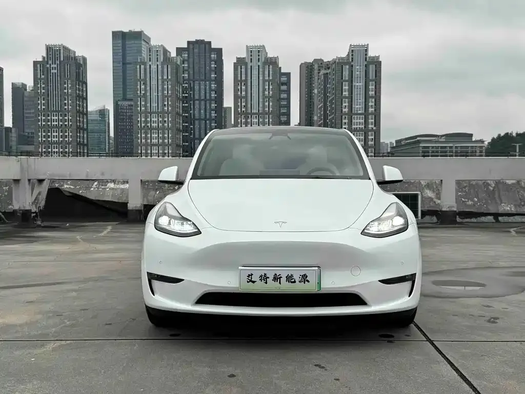 Tesla Model Y — фото 9
