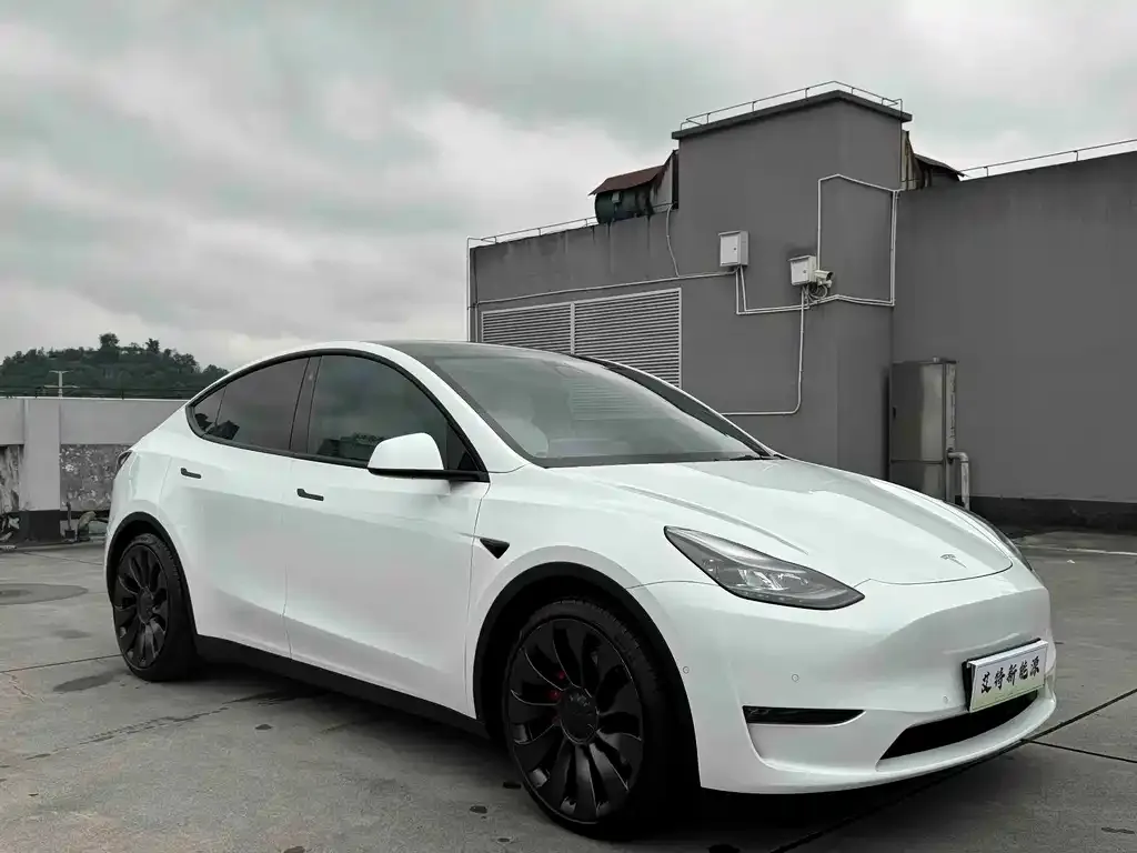 Tesla Model Y — фото 2