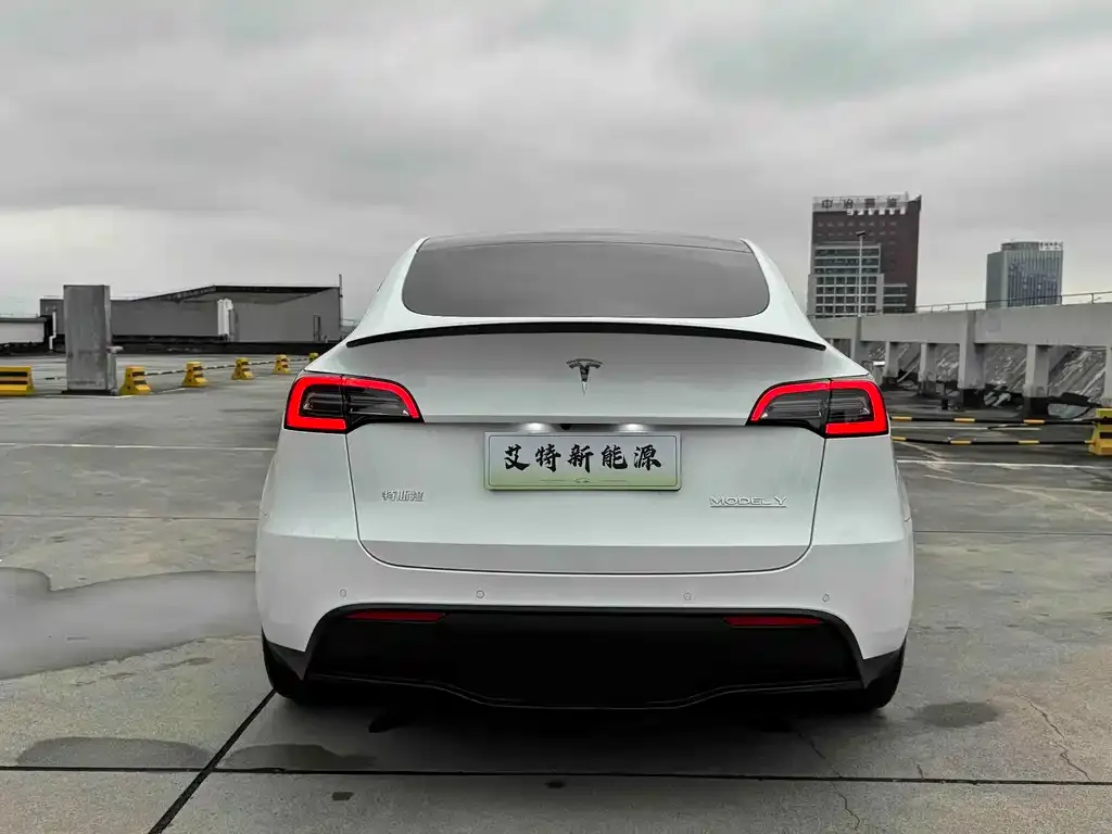 Tesla Model Y — фото 3