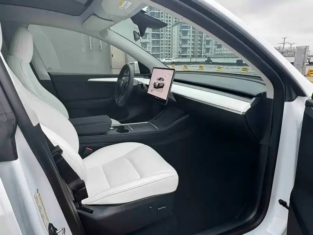 Tesla Model Y — фото 7
