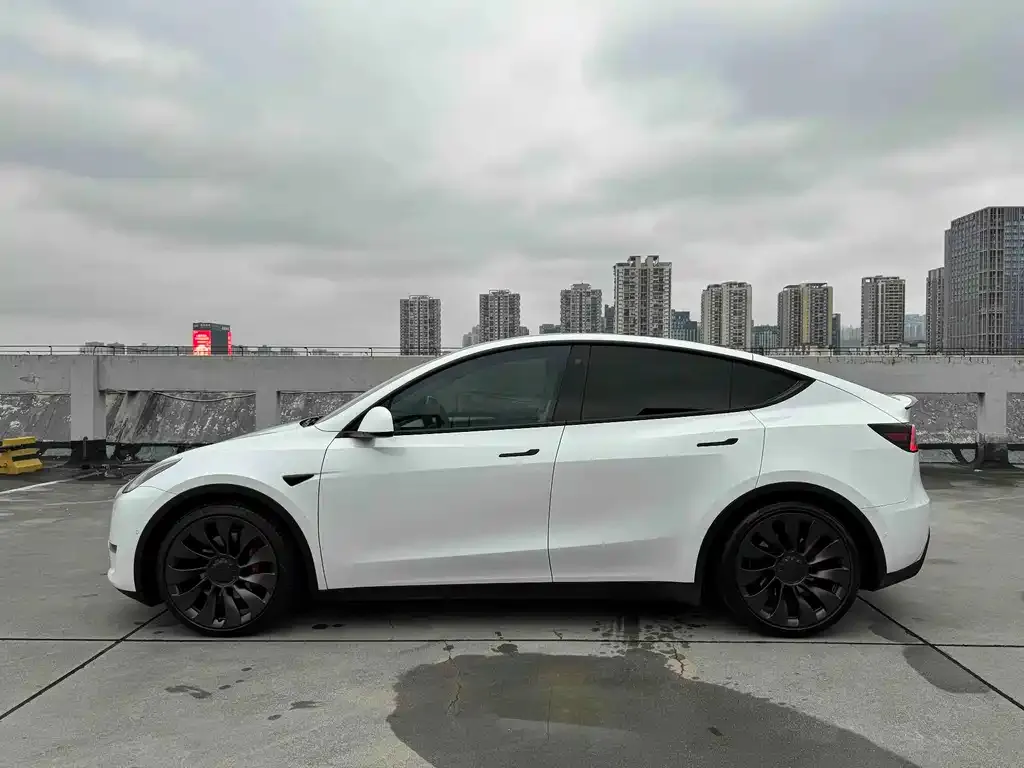Tesla Model Y — фото 6