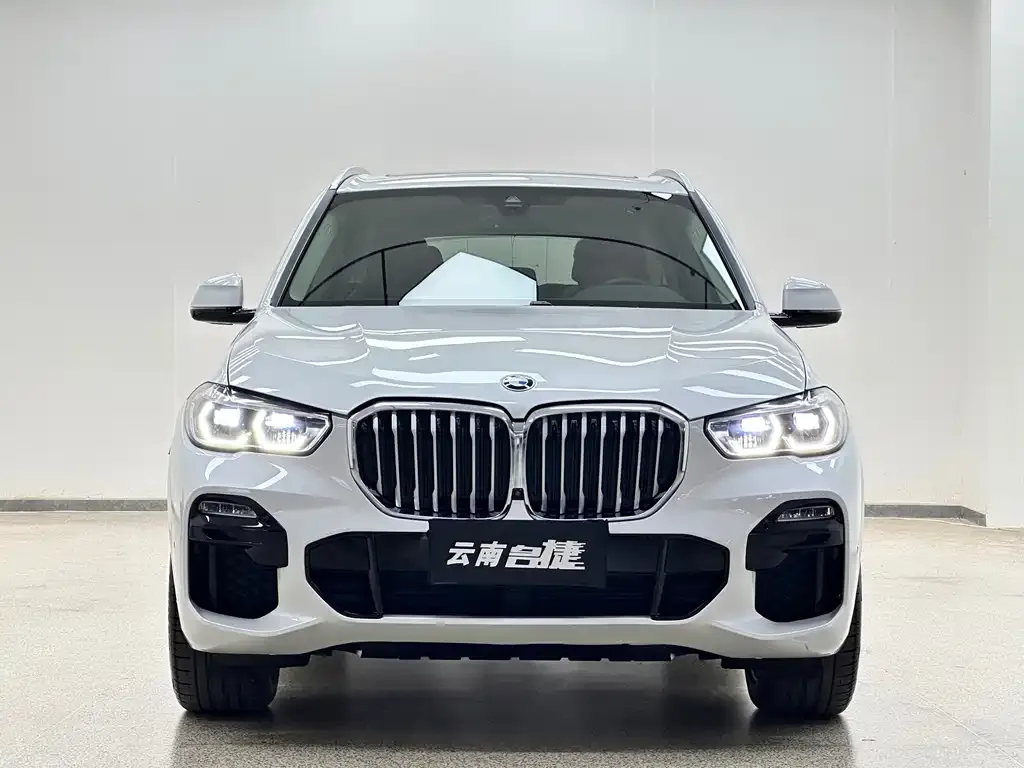 BMW X5 (Import) — фото 6