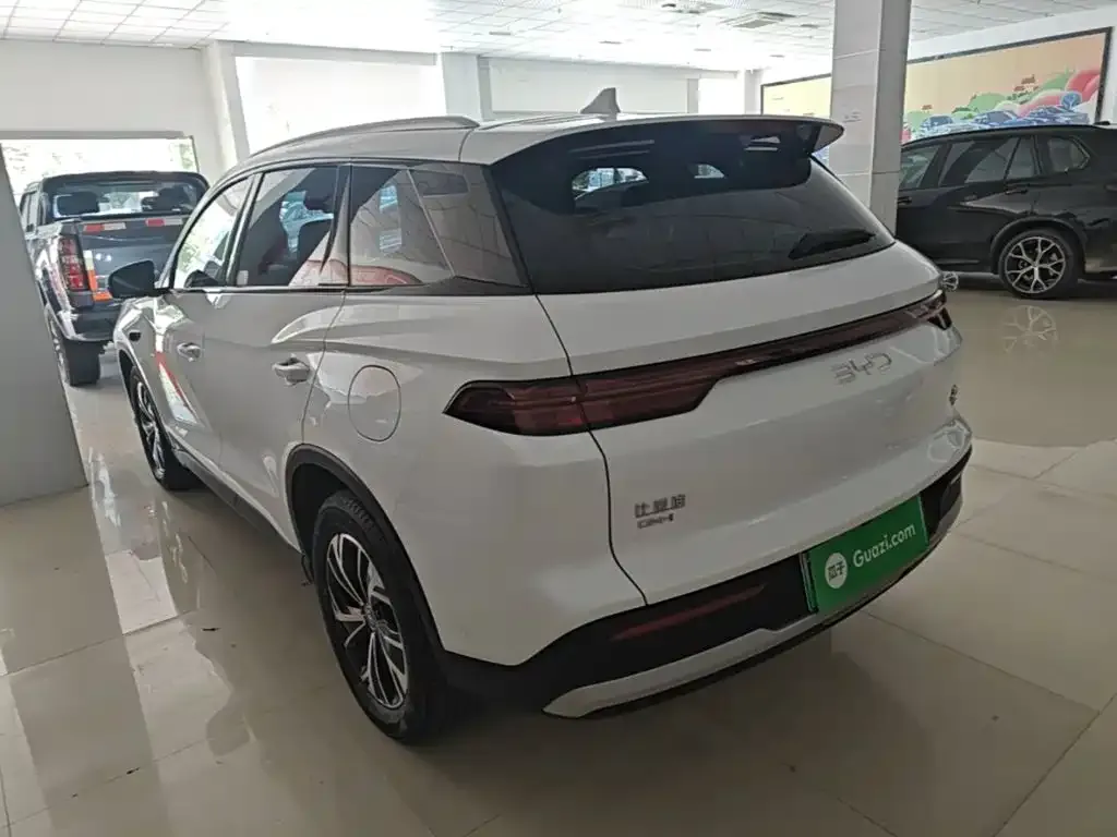 BYD Pro New Energy — фото 6
