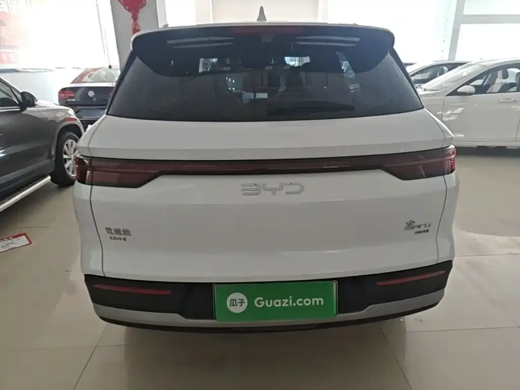 BYD Pro New Energy — фото 8