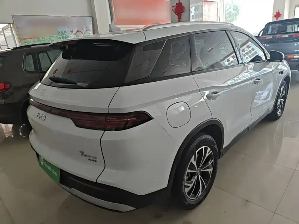BYD Pro New Energy — фото 7