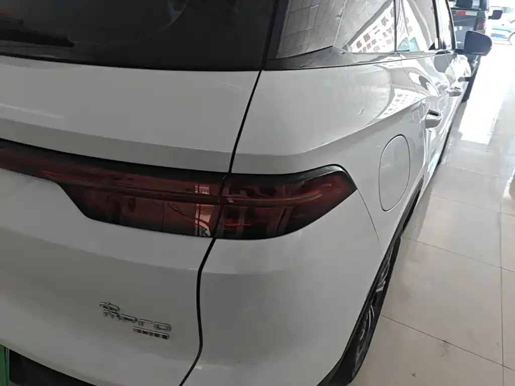 BYD Pro New Energy — фото 5
