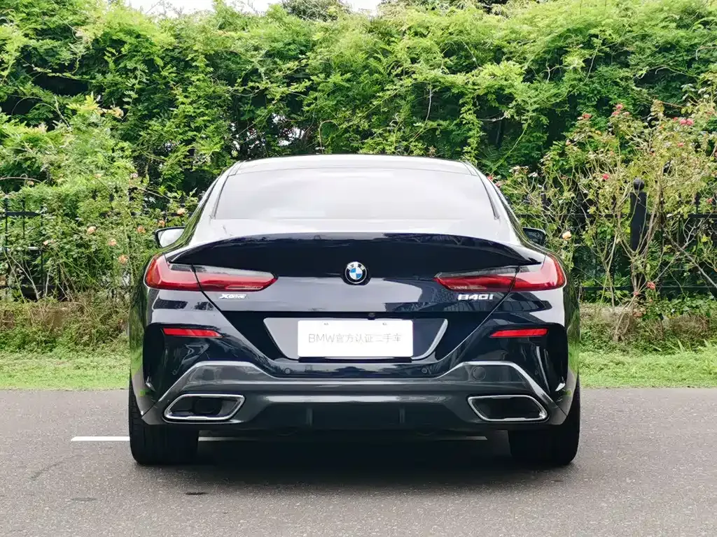 BMW 8 Series — фото 9