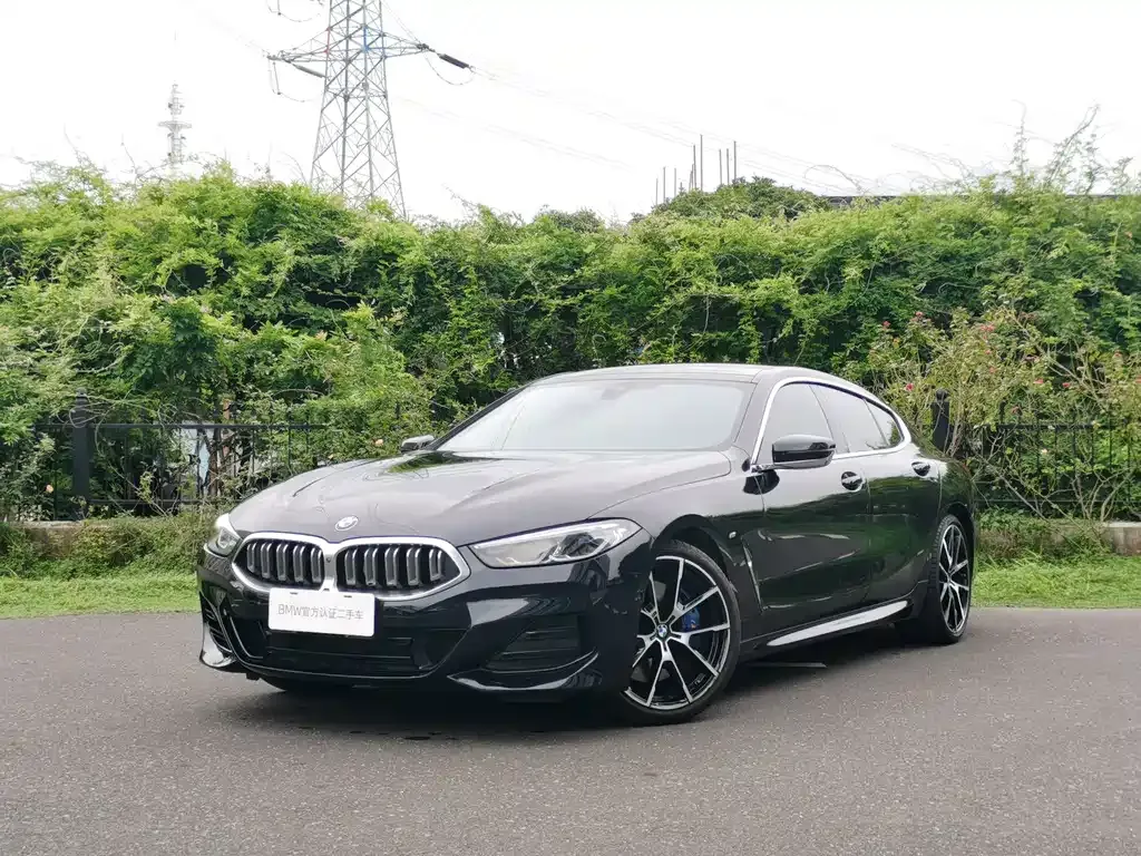 BMW 8 Series — фото 6