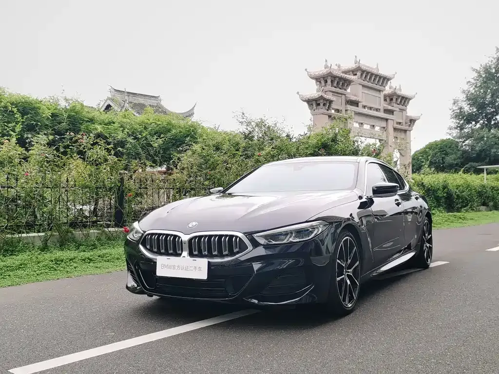 BMW 8 Series — фото 8
