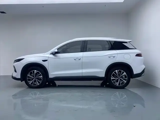 BYD Pro New Energy — фото 7